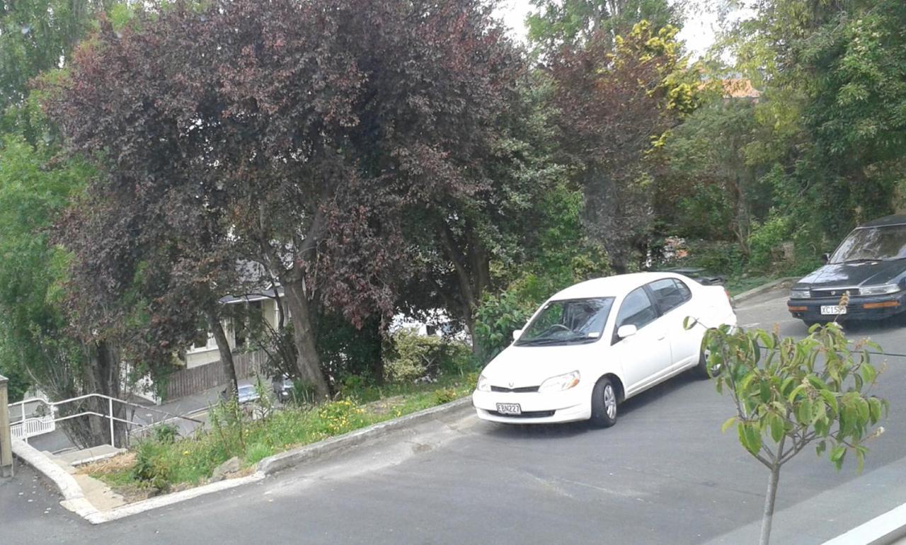 Work Stay At 123 Dunedin Dış mekan fotoğraf